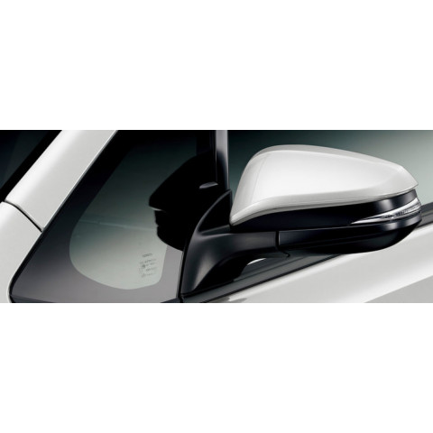 Auto Folding Side Mirror