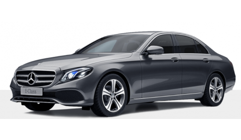E200 Selenite Grey Metallic